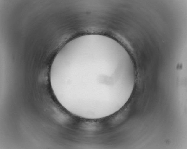 X0000091300065200709071102