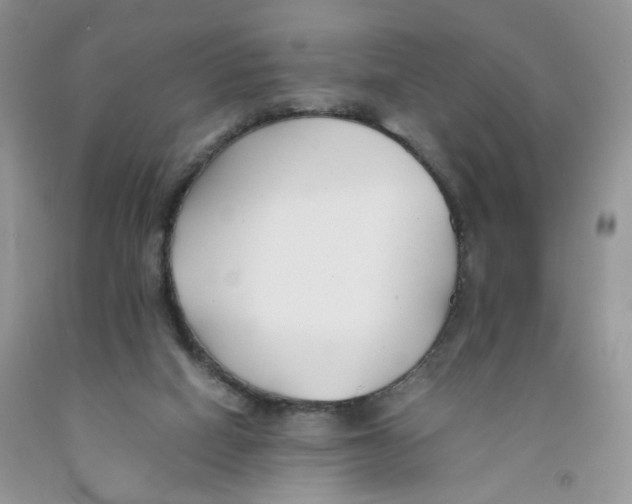 X0000091300066200709071102