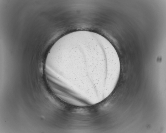 X0000091300067200709071102