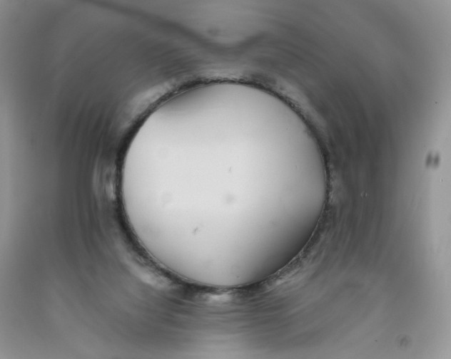 X0000091300068200709071102