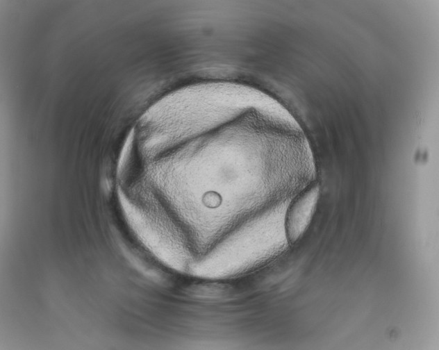 X0000091300069200709071102