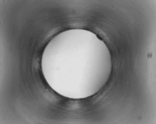 X0000091300071200709071102