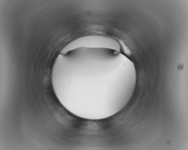 X0000091300073200709071102