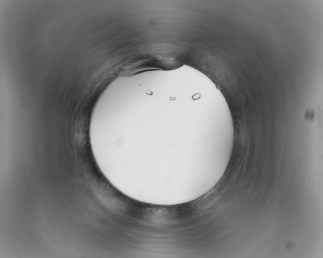 X0000091300074200709071102