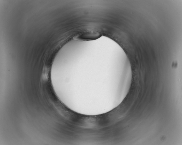 X0000091300075200709071102