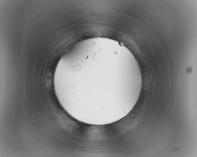 X0000091300077200709071102