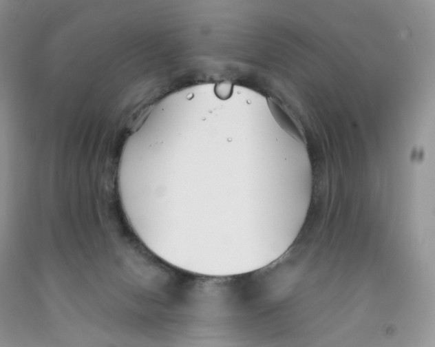 X0000091300078200709071102