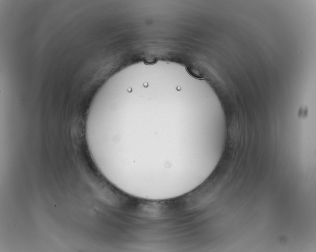 X0000091300079200709071102