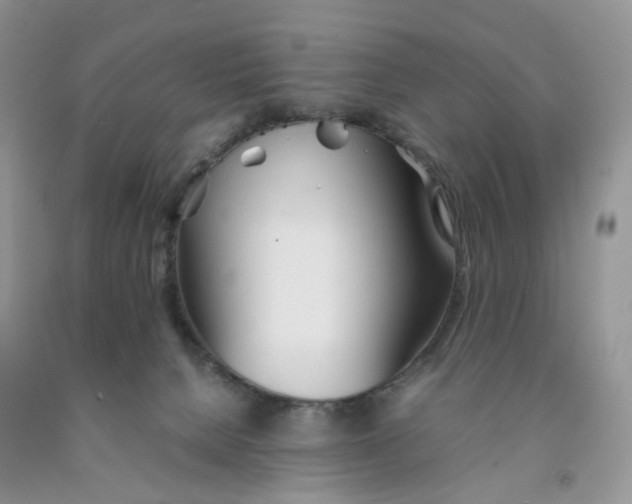 X0000091300080200709071102