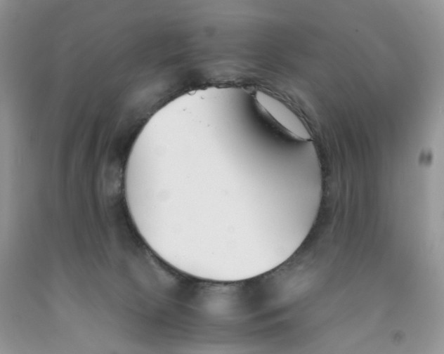 X0000091300081200709071102