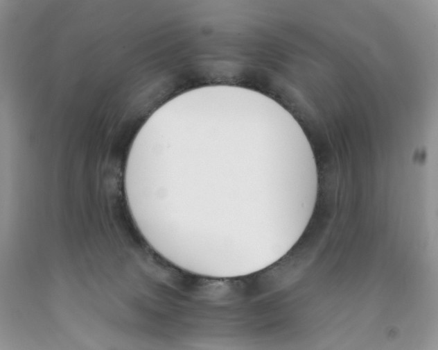 X0000091300083200709071102