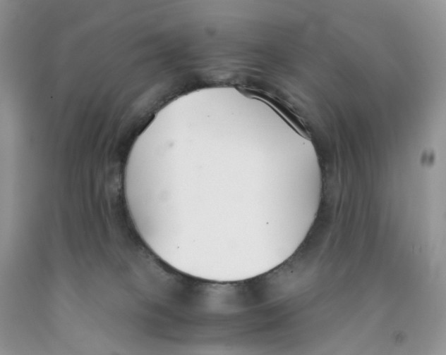 X0000091300085200709071102