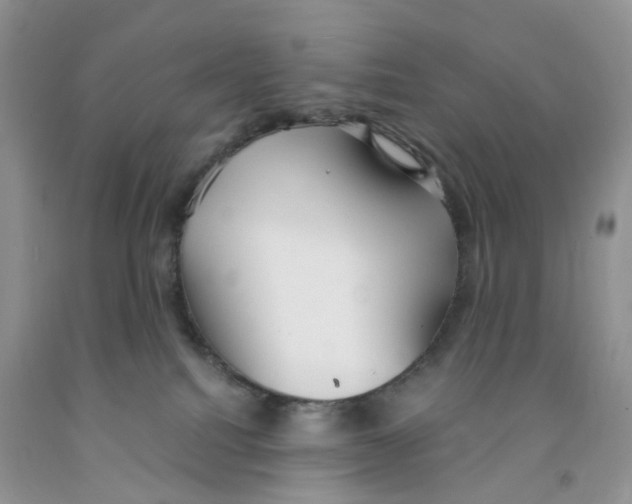 X0000091300088200709071102