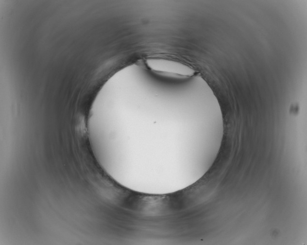 X0000091300089200709071102