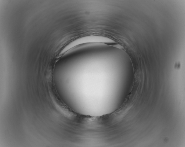 X0000091300092200709071102