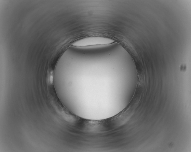 X0000091300095200709071102