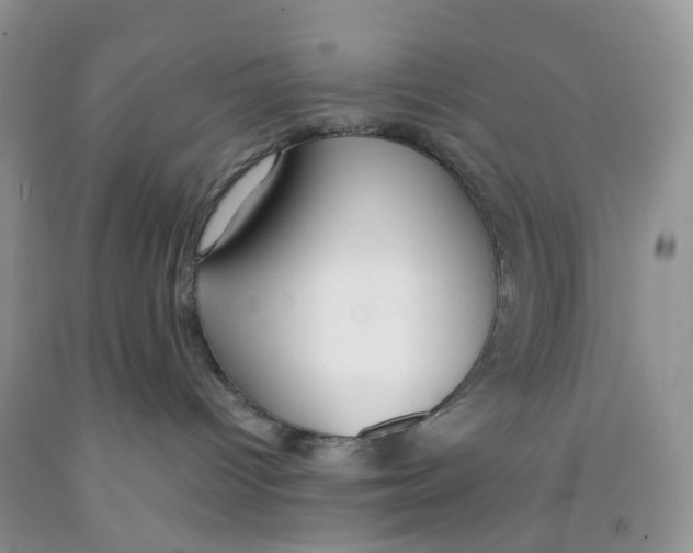 X0000091300096200709071102