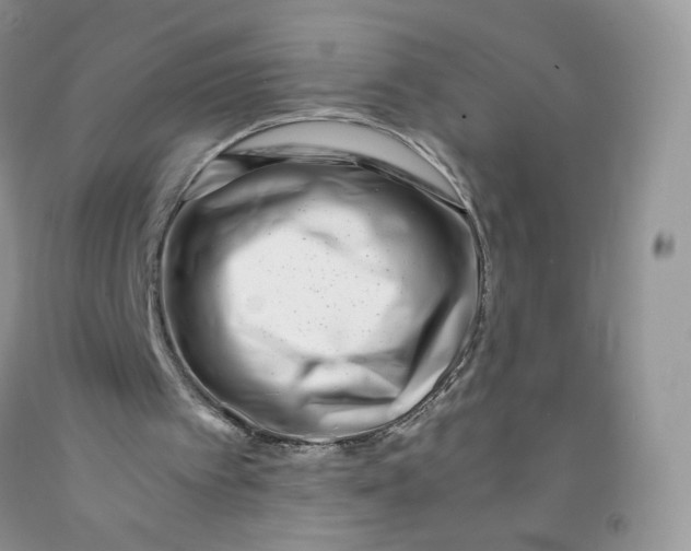 X0000091300097200709071101