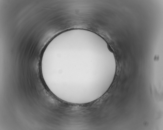 X0000091300098200709071101