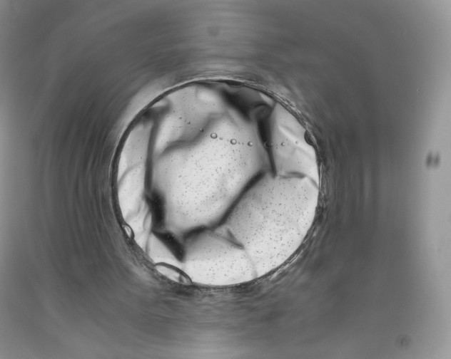 X0000091300099200709071101