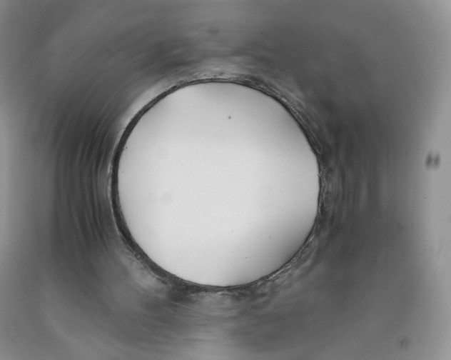 X0000091300100200709071101