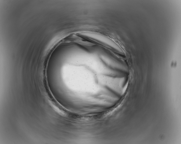 X0000091300101200709071101