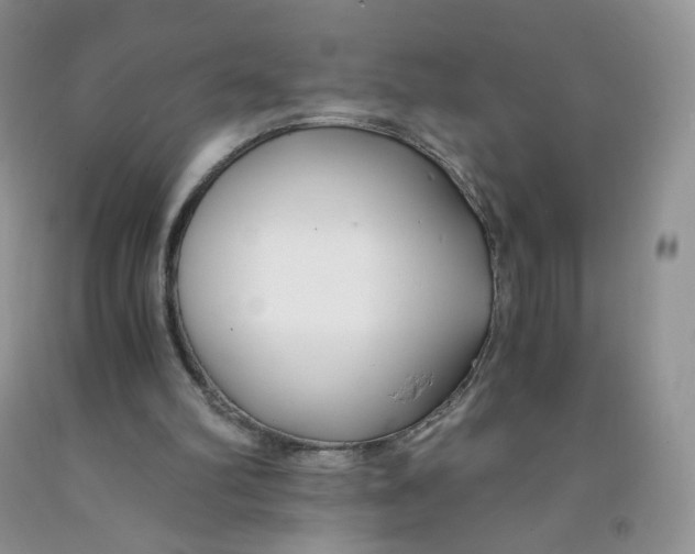 X0000091300102200709071101