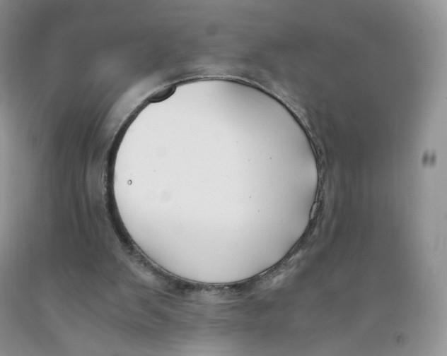 X0000091300103200709071101