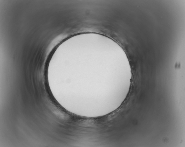 X0000091300104200709071101