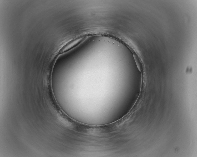 X0000091300105200709071101