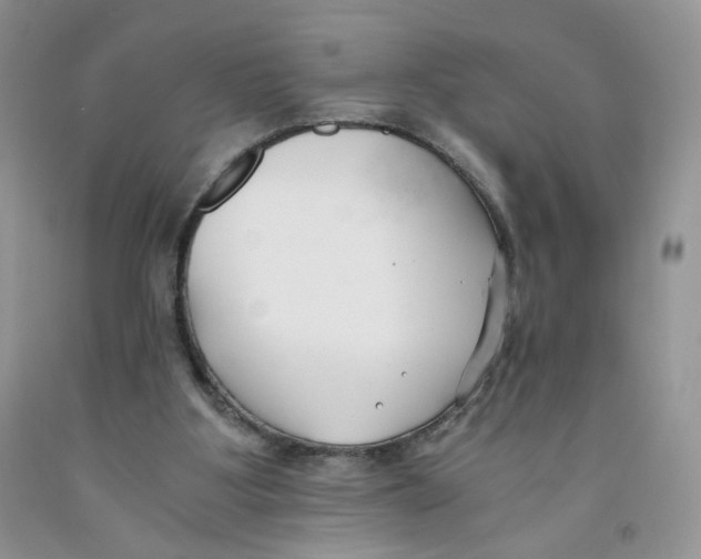 X0000091300107200709071101