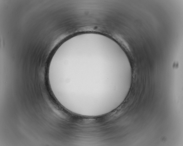 X0000091300108200709071101