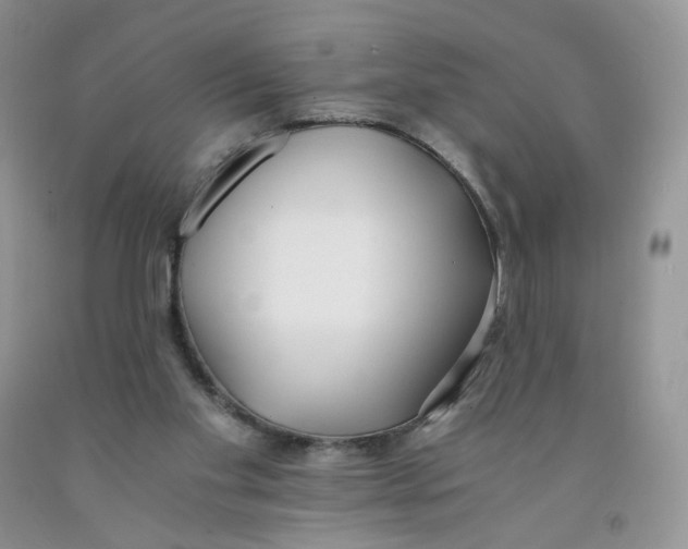 X0000091300109200709071101