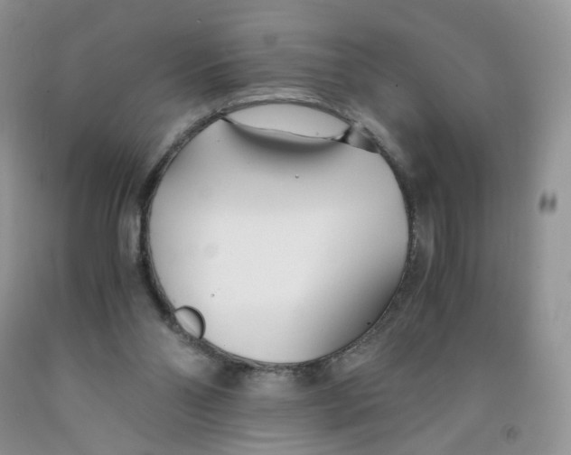 X0000091300110200709071101