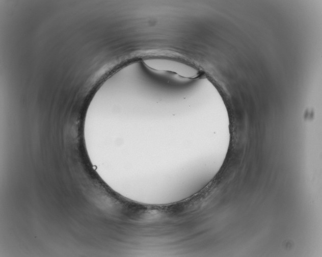 X0000091300111200709071101