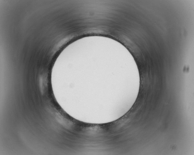 X0000091300112200709071101