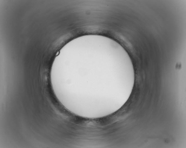 X0000091300115200709071101