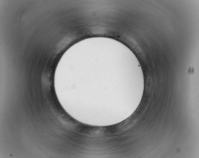 X0000091300116200709071101