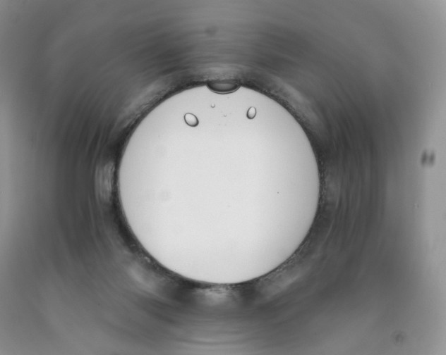 X0000091300118200709071101