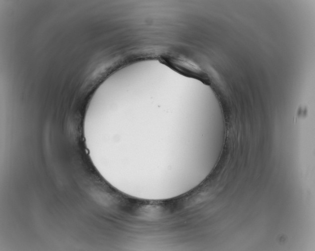 X0000091300119200709071101