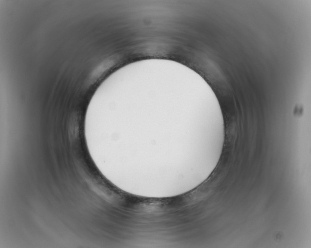 X0000091300120200709071101