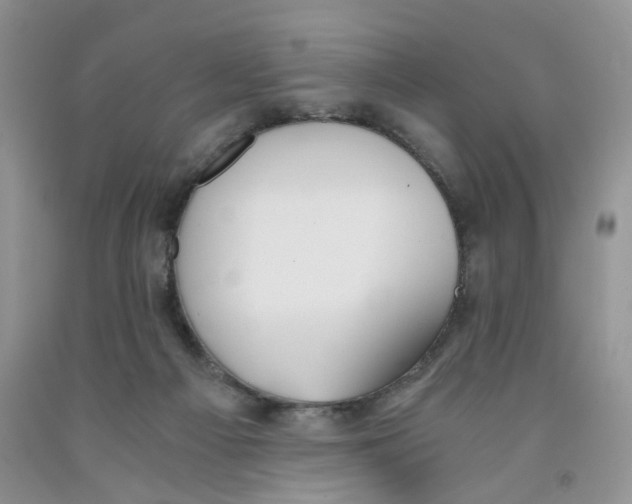 X0000091300121200709071101