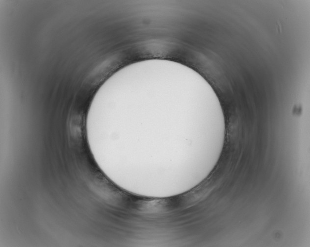 X0000091300122200709071101