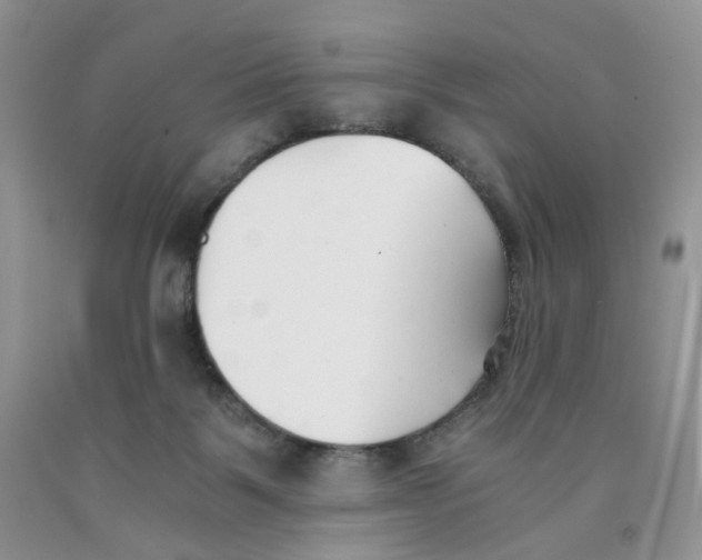 X0000091300123200709071101