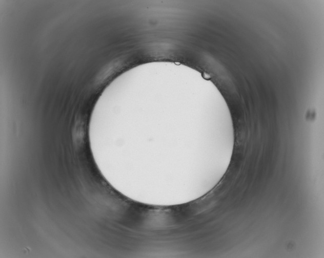 X0000091300124200709071101