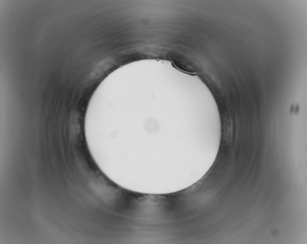 X0000091300128200709071101