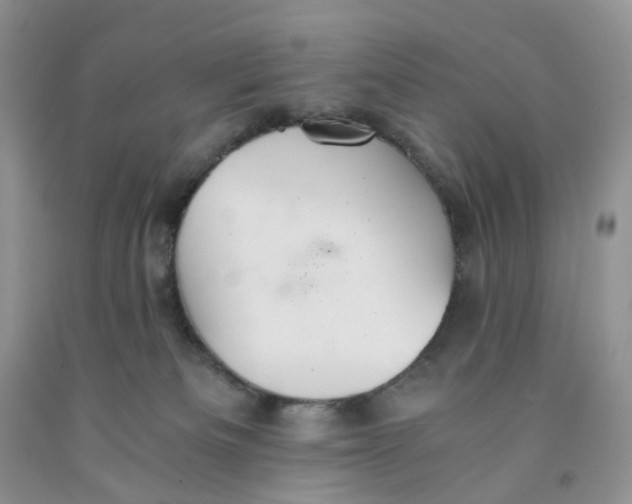 X0000091300133200709071101