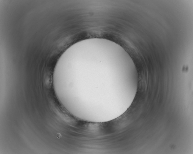 X0000091300134200709071101