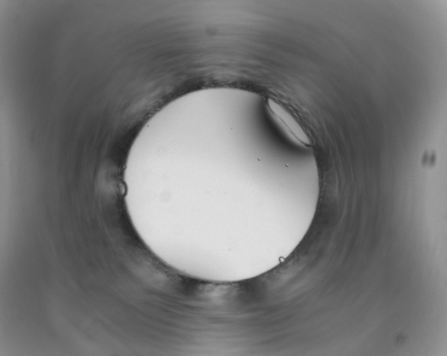 X0000091300135200709071101