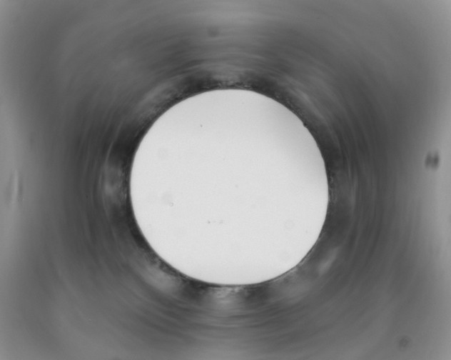 X0000091300136200709071101